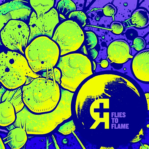Flies to Flame封面