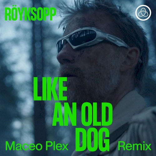 Like an Old Dog (Maceo Plex remix)封面