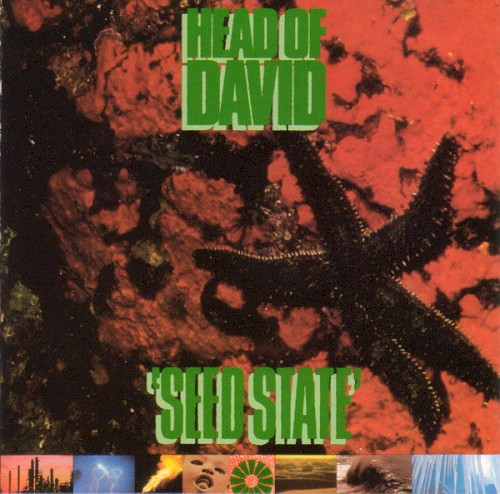 Seed State封面