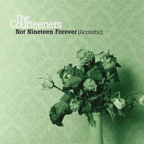 Not Nineteen Forever封面