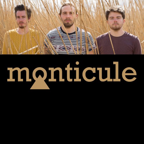 Monticule封面