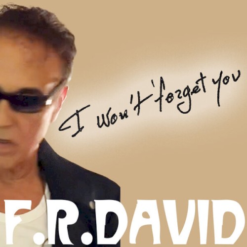 I Won't Forget You封面