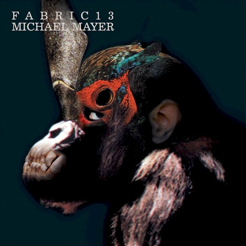 Fabric 13: Michael Mayer封面