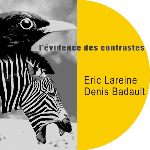 L'Évidence des contrastes封面