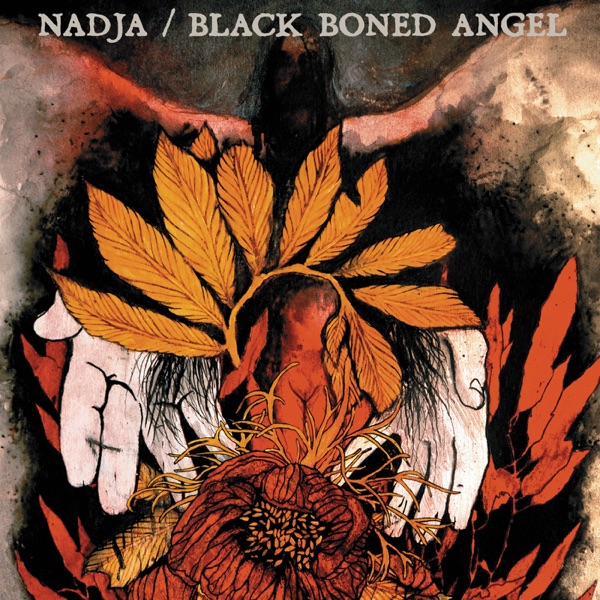 Nadja / Black Boned Angel封面