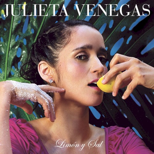 Limón y sal封面