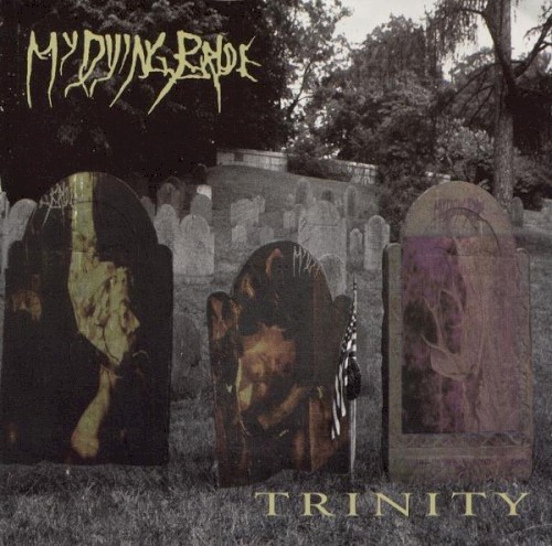 Trinity封面