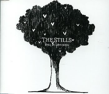 Still in Love Song封面