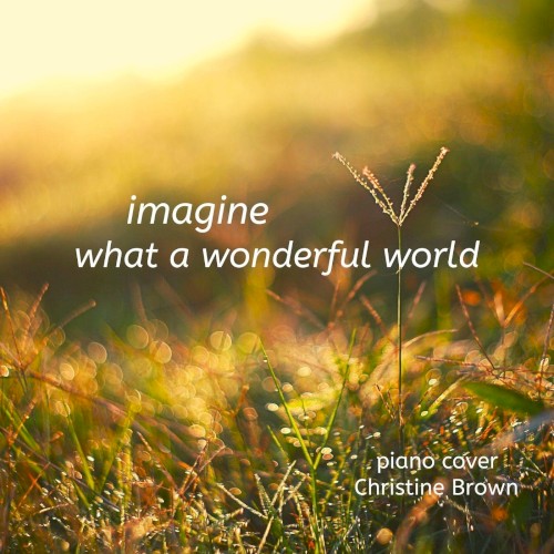 Imagine What a Wonderful World封面