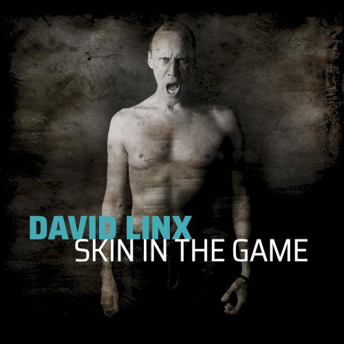 Skin in the Game封面