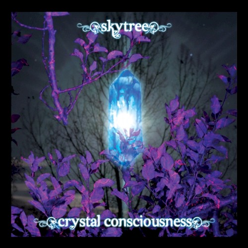 Crystal Consciousness封面