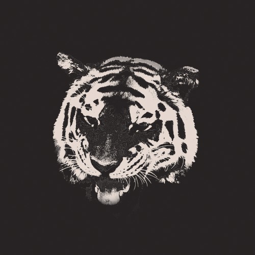 Six Dead Tigers封面