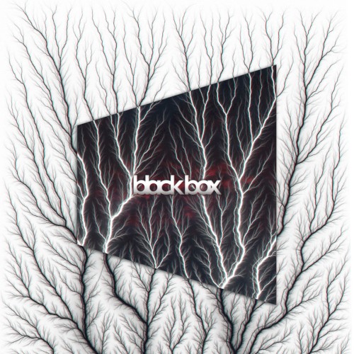 Black Box封面
