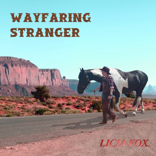Wayfaring stranger封面