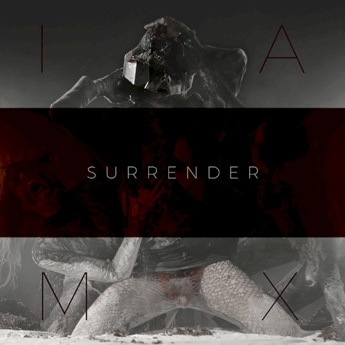 Surrender封面