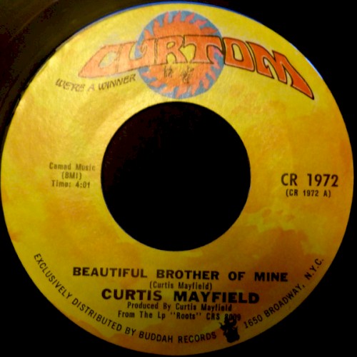 Beautiful Brother of Mine封面