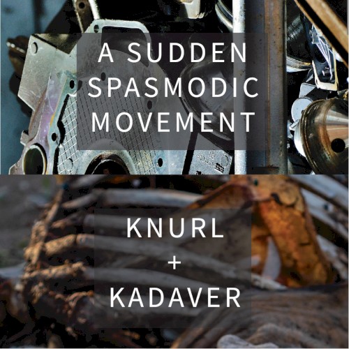 A Sudden Spasmodic Movement封面