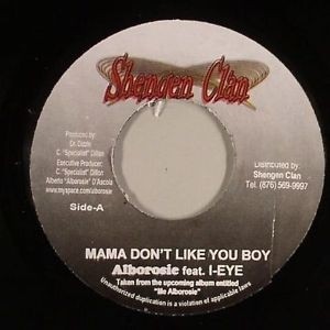 Mama Don't Like You Boy封面