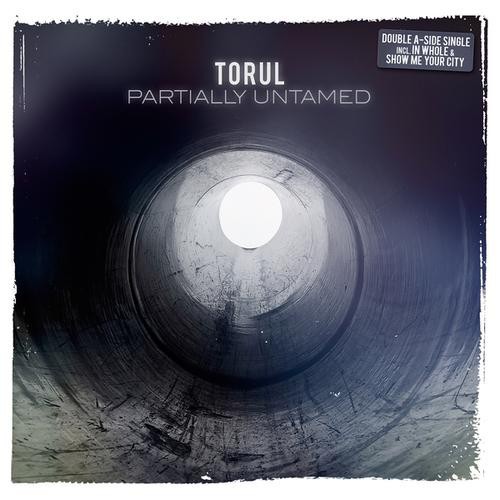 Partially Untamed封面