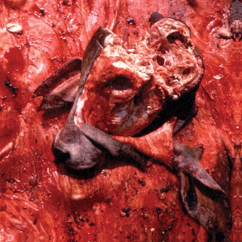 Human Jerky封面