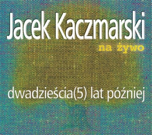 Dwadzieścia (5) lat później封面