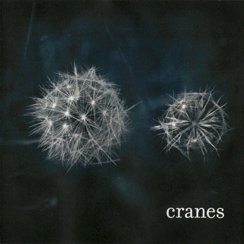Cranes封面