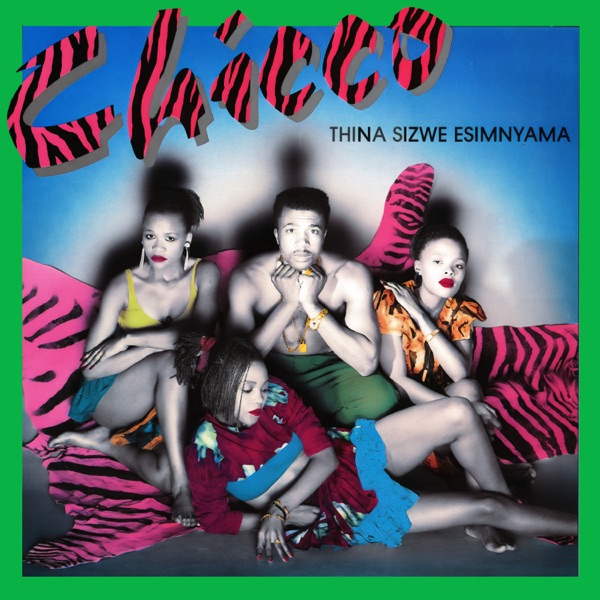 Thina Sizwe Esimnyama封面