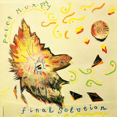 Final Solution封面