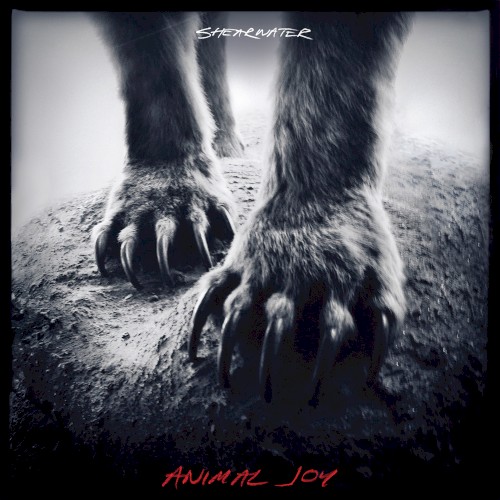 Animal Joy封面