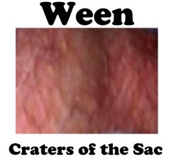 Craters of the Sac封面