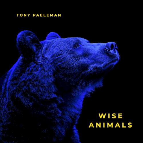 Wise Animals封面