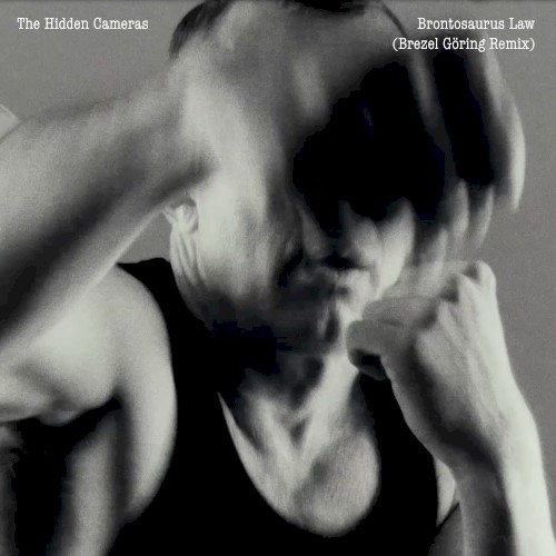 Brontosaurus Law (Brezel Göring remix)封面