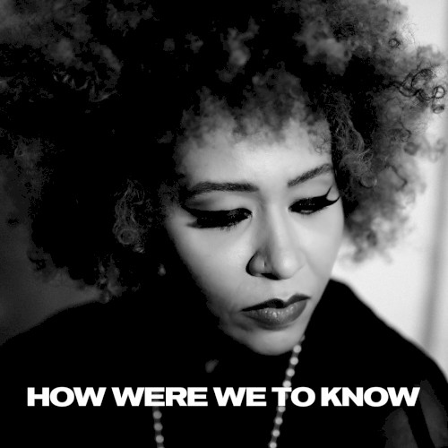 How Were We to Know封面