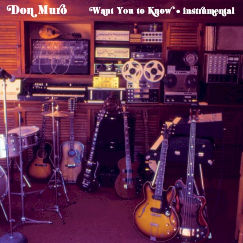 Want You to Know (instrumental)封面
