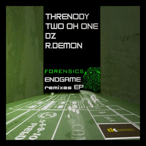 Endgame Remixes封面