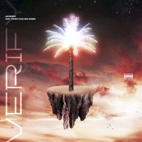 Verify封面