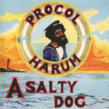 A Salty Dog封面