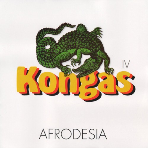 Afrodesia封面