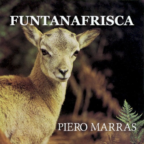 Funtanafrisca封面
