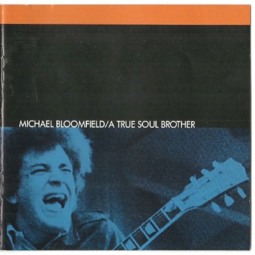 A True Soul Brother封面
