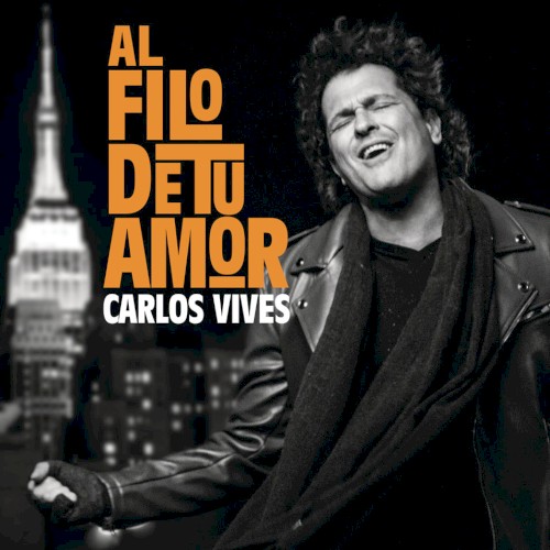 Al filo de tu amor封面
