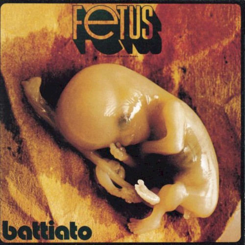 Fetus封面