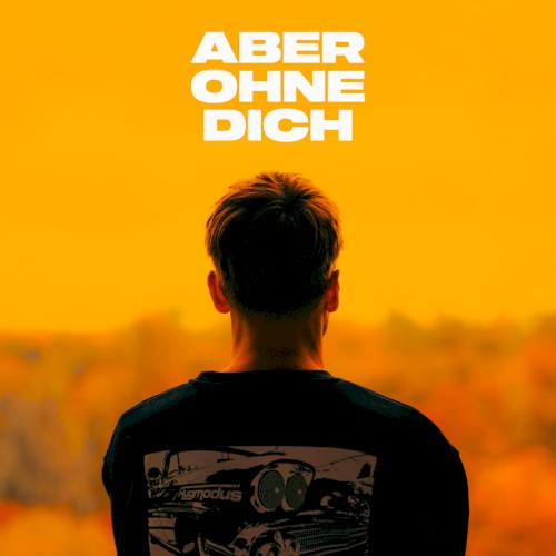 Aber Ohne Dich封面