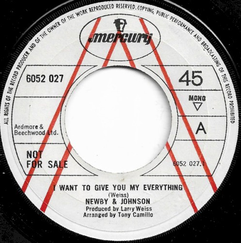 I Want To Give You My Everything封面