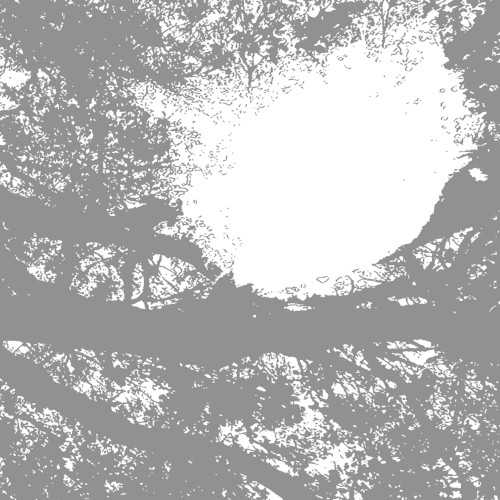 Field Recordings From the Sun封面