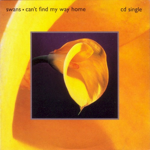 Can’t Find My Way Home封面