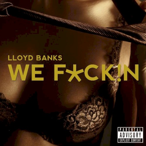 We F*ck!n封面