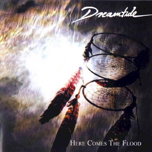 Here Comes the Flood封面