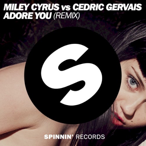Adore You (remix)封面