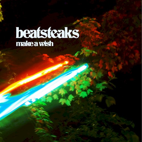 Make a Wish封面